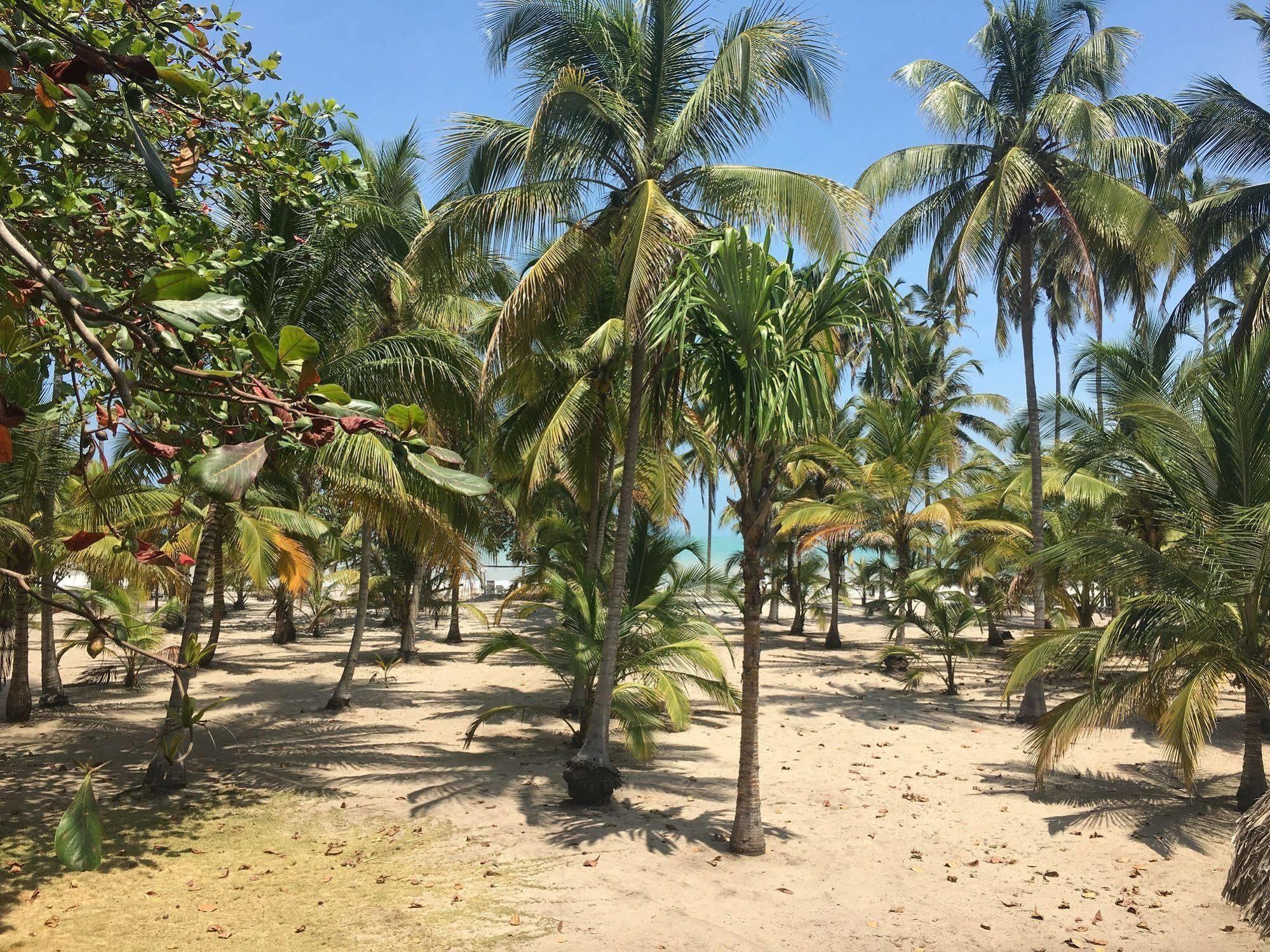 Hotel Playa Mandala Palomino Exterior foto